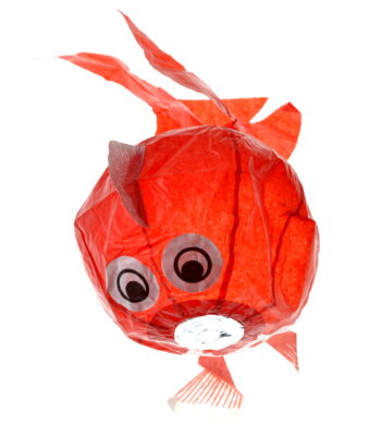 kamifusen guldfisk