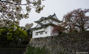 sakura nagoya borg