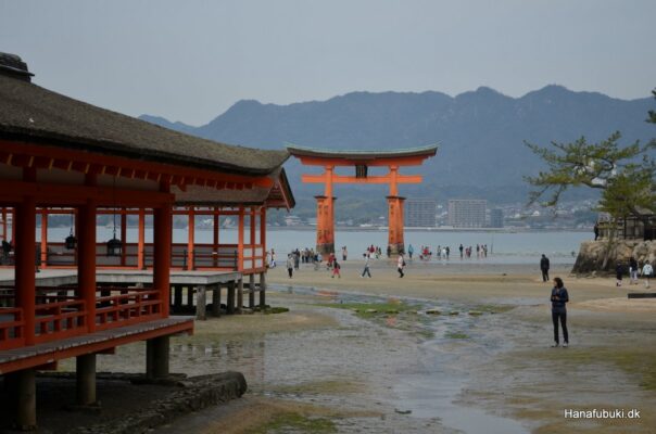 itsukushima miyajima