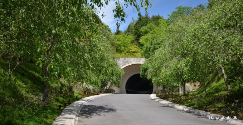 miho museet adgang via tunnel