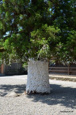 omikuji