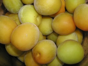 ume blommer