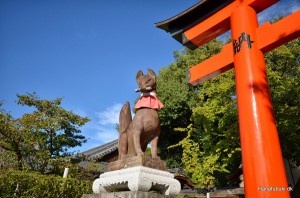 shuiro shinto fushimi inari