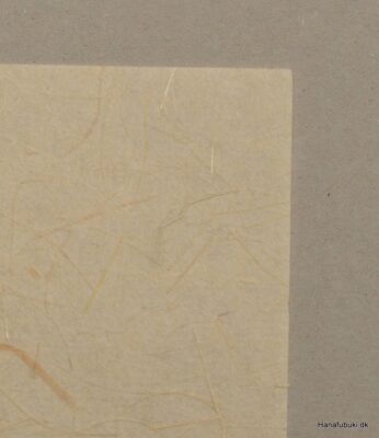 washi kozo