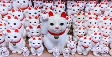 maneki neko