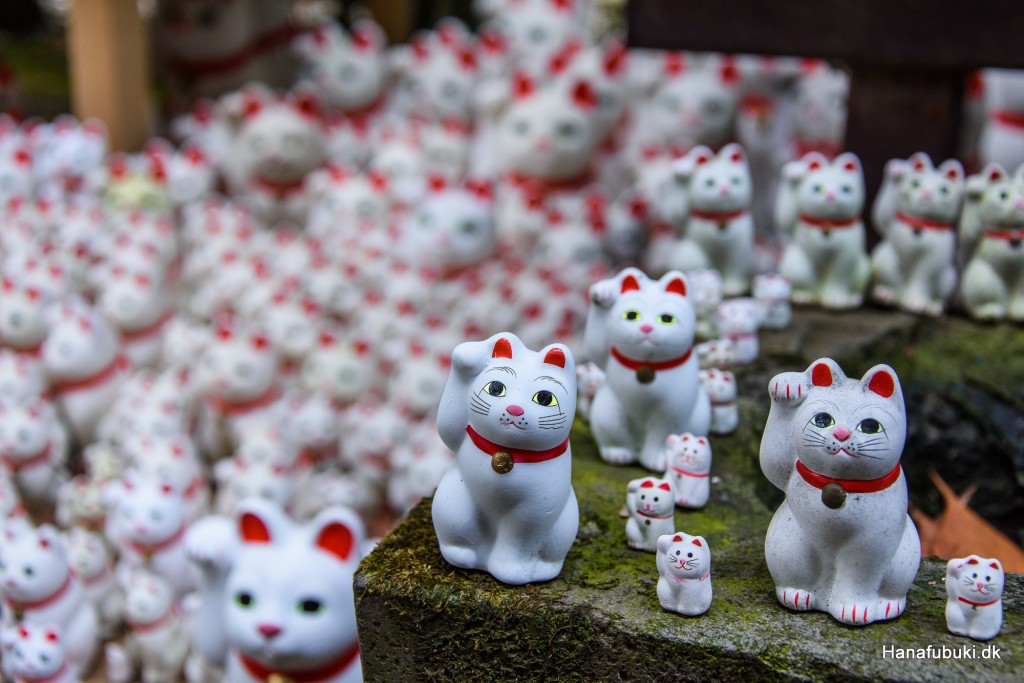 maneki neko