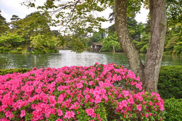 kenrokuen_haven_kanazawa Japans tre smukkeste haver