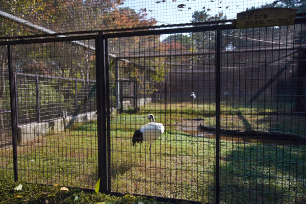 Kōrakuen haven_okayama