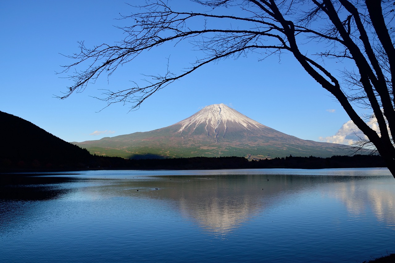 Fujigoko