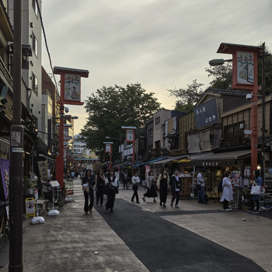 sensoji asakusa nakamisedori (1)