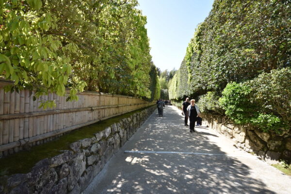 ginkakuji gaki