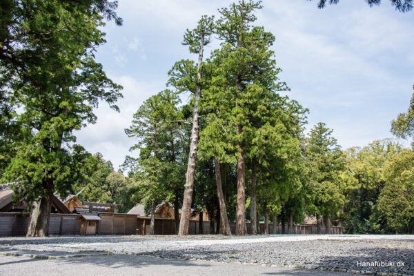 ise jingu keku kodenchi