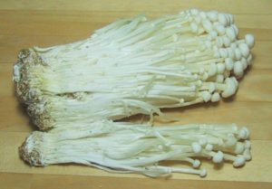 enokidake enokitake