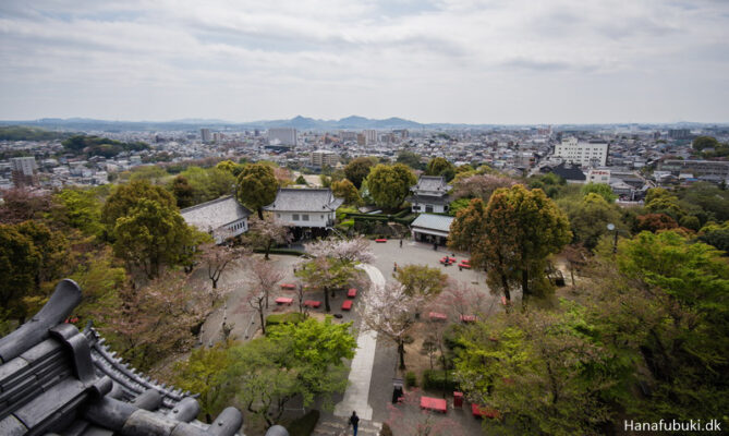 inuyama borg
