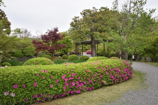 toji_templet_kyoto