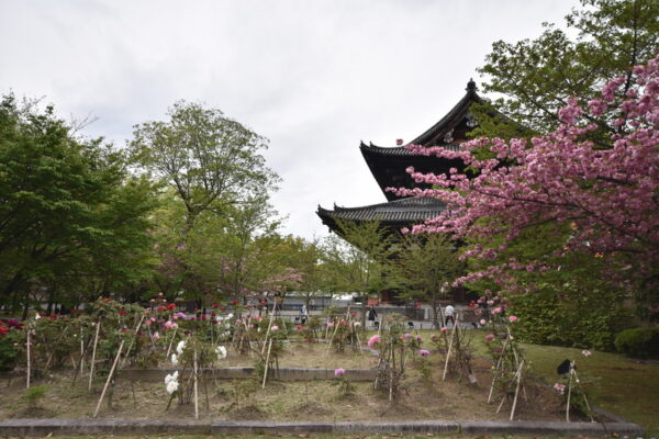 toji_templet_kyoto
