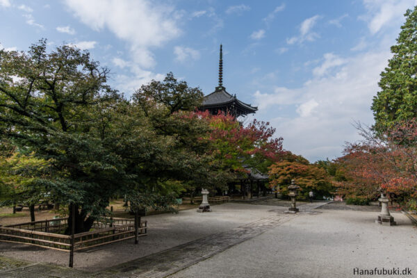 shinnyodo templet