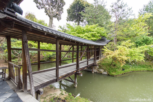 kodaiji templet