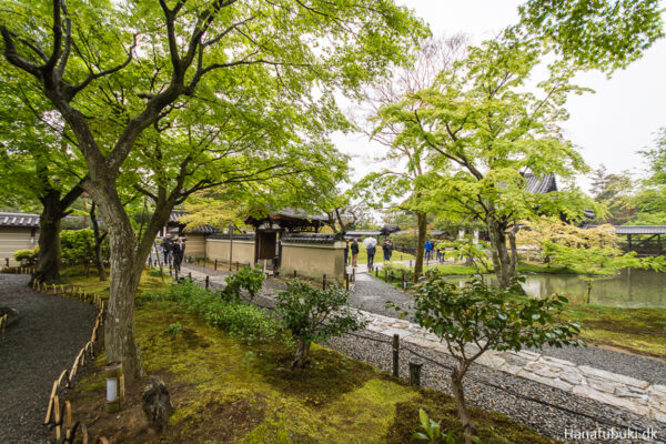 kodaiji templet