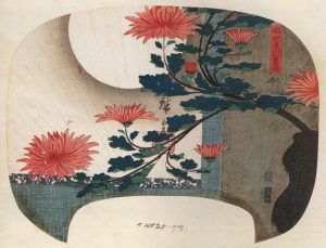 Chrysanthemum (kiku) af Hiroshige ukiyo-e