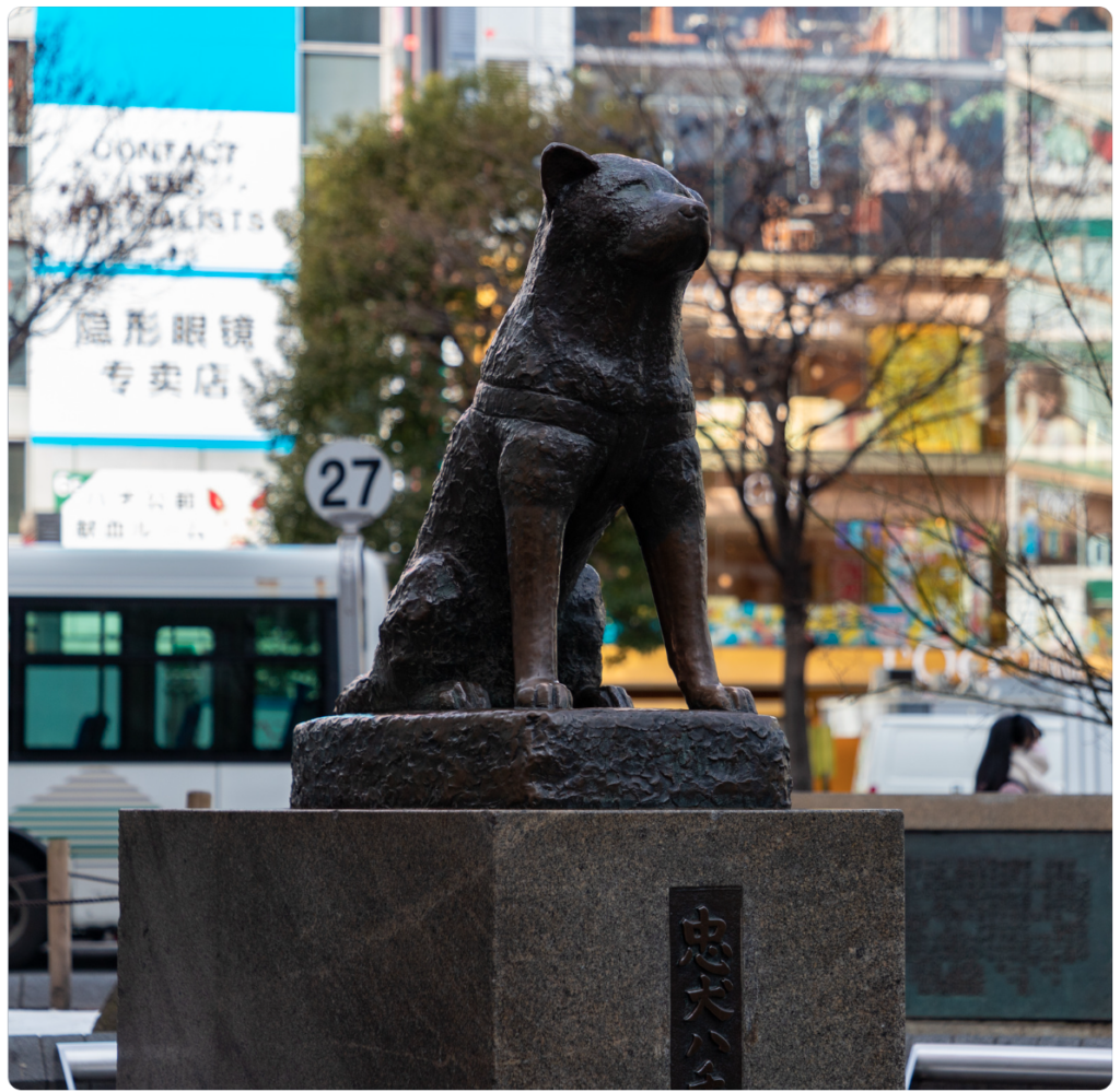 hachiko-statue_shibuya_tokyo