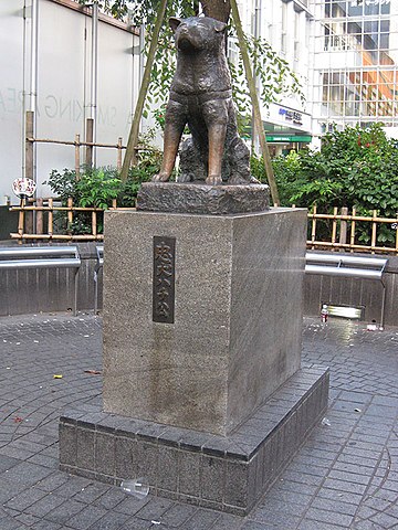 hachiko_statuen_shibuya