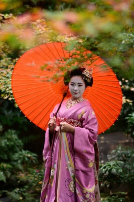 maiko_wagasa