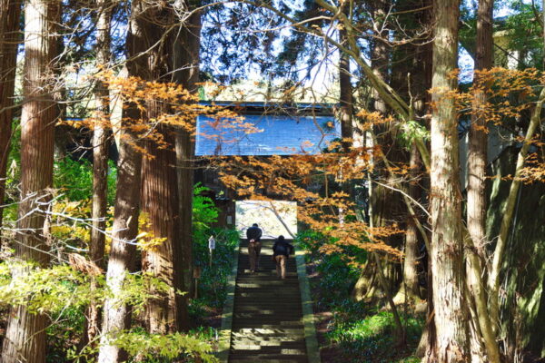 pagode_Anrakuji-templet_Bessho_Onsen