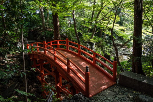 Koishikawa Kōrakuen-haven_Tokyo