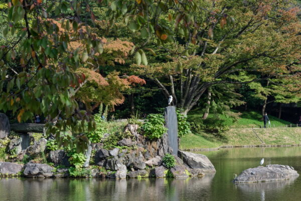 Koishikawa Kōrakuen-haven_Tokyo