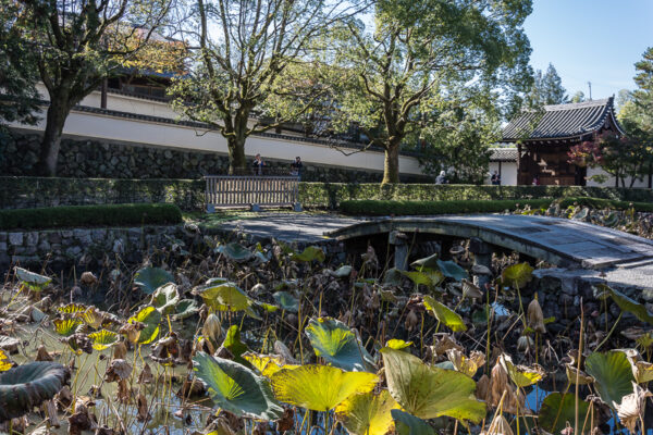 tofukuji_templet_kyoto