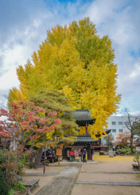 Hida Kokubunji-templet
