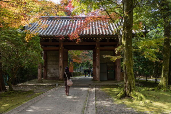 daigoji-templet_kyoto