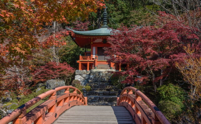 daigoji-templet_kyoto