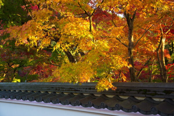 eikando_templet_kyoto