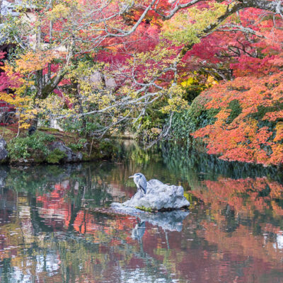 eikando_templet_kyoto