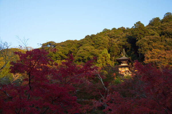 eikando_templet_kyoto