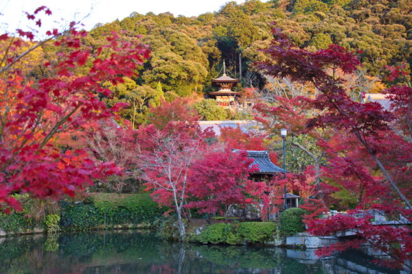 eikando_templet_kyoto