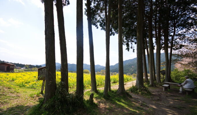 ohara_kyoto