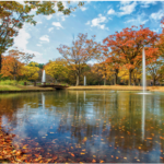 yoyogi_parken_tokyo