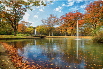 yoyogi_parken_tokyo