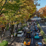 omotesando_gaden_tokyo