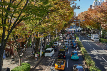 omotesando_gaden_tokyo