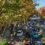 Omotesandō-gaden – Tokyos Champs-Elysees