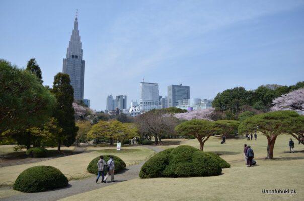 shinjuku_gyoen_parken_tokyo