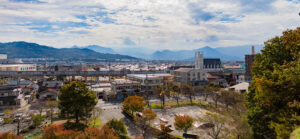 ueda-borg