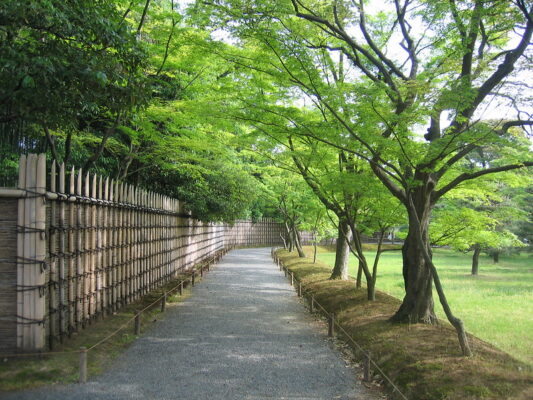 Katsuragaki, Katsura Rikyuu