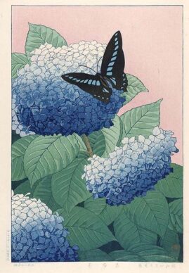 Taisui_Inuzuka_ajisai_hortensia_træsnit