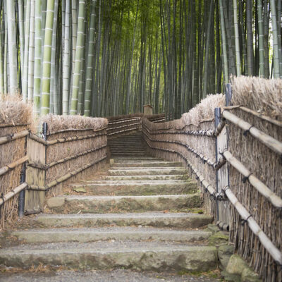 adashino_nembutsuji_templet