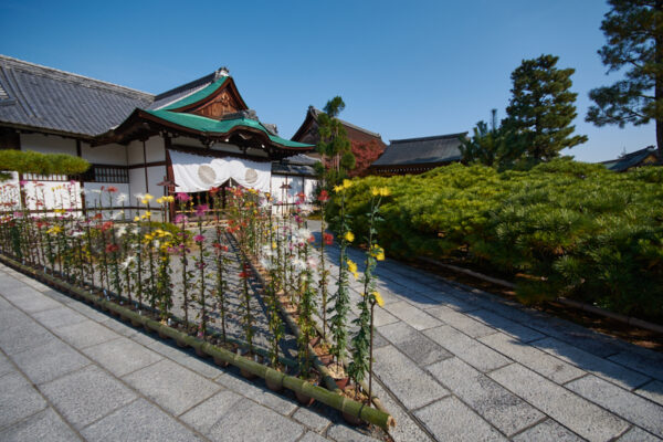 Daikakuji_templet_Kyoto